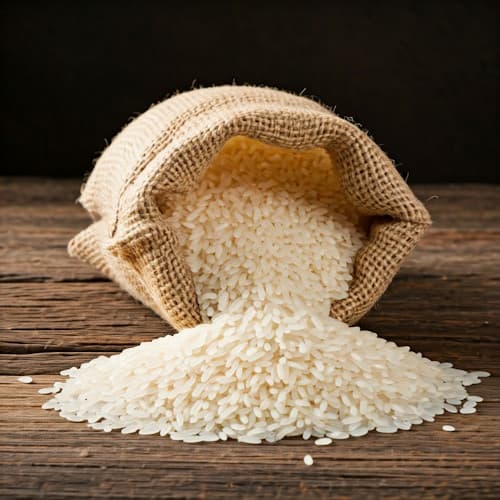 طريق إفريقيا نحو الاكتفاء الذاتي من الأرز والتنمية المستدامة