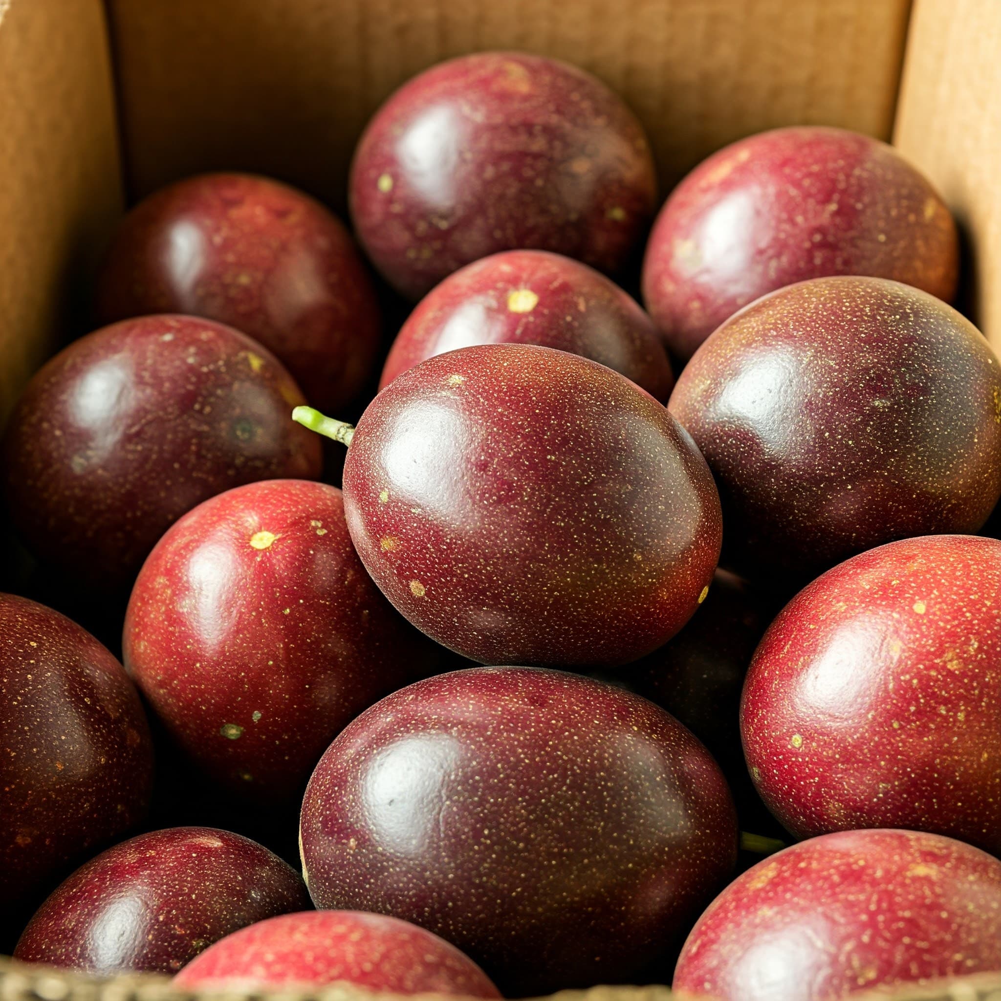 فواكه العاطفة الطازجة (صورة تم إنشاؤها بواسطة الذكاء الاصطناعي)