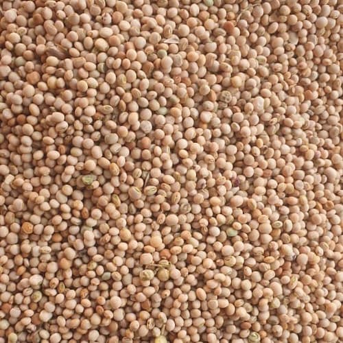 Adalidda优质木豆颗粒：多功能植物基原料