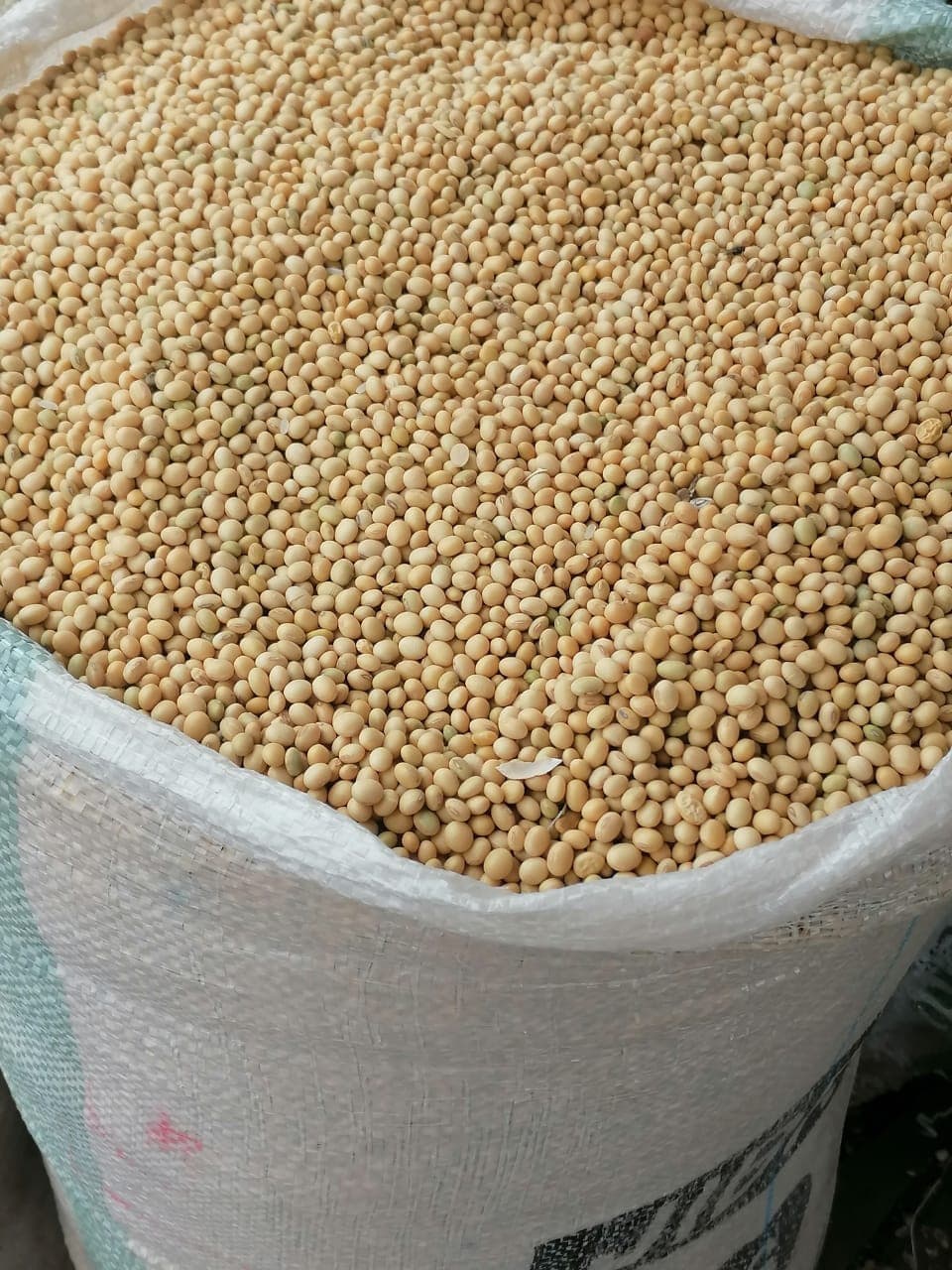 Non-GMO Soybeans. Origin: Benin (Sahel Agri-Sol / Adalidda / Public Domain)