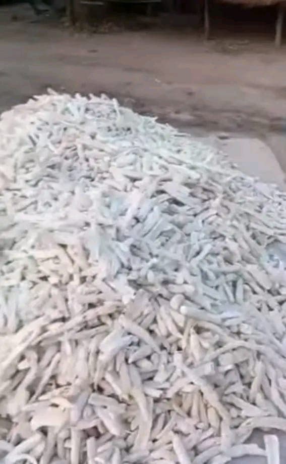 Peeled cassava chips (Deko Group / public domain)