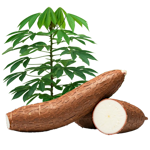 Otros productos agrícolas