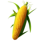 Frutos Secos y Semillas